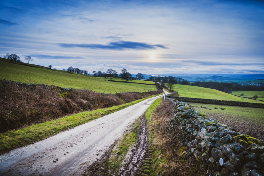 A picturesque countryside road winds through lush green fields under a soft blue sky in Siliguri.